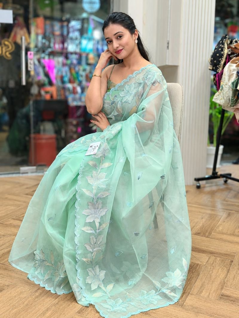 Elowen Mist Tissue Saree