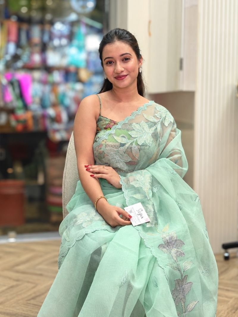 Elowen Mist Tissue Saree